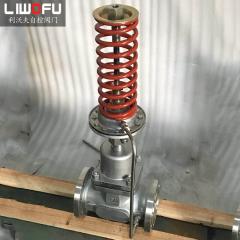 自力式压力午夜影院福利：科技引领，压力控制新篇章